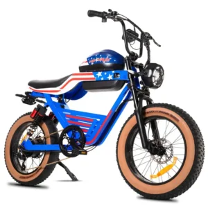 HAPPYRUN G100 Electric Bikes Long Range All-Terrain Electric Motor Bike Motorcycle 1000w Motor 18Ah+20Ah Dual Battery