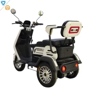 2022 Hot Sale 72v 1000w 3 Wheel Adult Electric Engine Tricycle Scooter Motorcycle