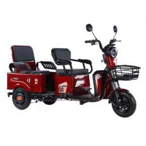 Adult Leisure Electrical 60V Tricycle Cargo Household for 3 Person Disabled Electric Scooter Electric Cars Vehicles for Adults