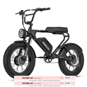 MEELOD DK200 20" Retro Moped Style Electric Bike 750W Motor 48V 13Ah Battery