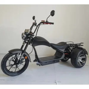 Clark is hot selling Citycoco Electric Tricycle Trike Scooters Adult Tricycles 3 Wheel Electric Mobility Scooter