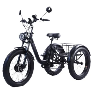 3 Wheel Electric Cargo Tricycle for Adult Powerful Strong 750W 48V 15AH 24 Inch Fat Electric Mountain Bike For Man Women