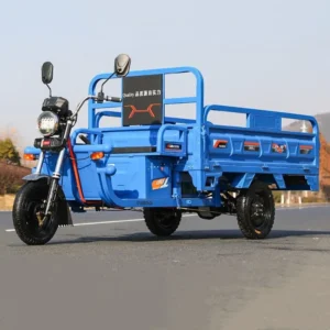 1000w1200W Electric Tricycle Household Small Scooter Three-seat Adjustable Electric Tricycle Cargo Electric Wheel Vehicle