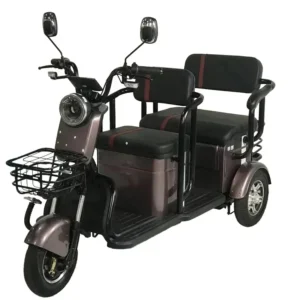 China Factory Sale Electric Bike 3 Wheel Electric Tricycle for Passenger Electric Cargo Tricycle