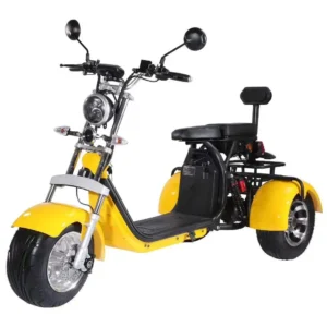 Clark is hot selling New Citycoco 3 Wheels Patinete Electrico 2000w Adult Electric Scooters Tricycle Citycoco With Removable Bat