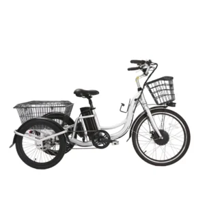 Wholesale Electric Tricycle Cargo Bike Delivery Cargo Ebike Factory Customize Three Wheels Cargo Ebike