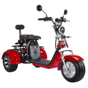 New Design Citycoco 1500w 2000w Adult Electric 3 Wheel Scooters Tricycle With Removable Battery