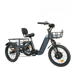 Electric Trike Fat Tire 3 Wheel Electric Tricycle Three Wheels Adult Cargo Ebike Food Delivery Electric Bike 3 Wheel
