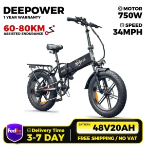 Electric Bicycle for Adults,48V 20Ah,750W Motor,20‘’4.0 Fat Tires,Road Commuter Ebike, for Man Woman Electric Bike