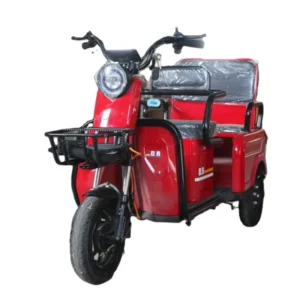 48V/60V High Quality Electric Bicycle Adult Electric Bicycle City 600W Electric Tricycle Freight Tricycle