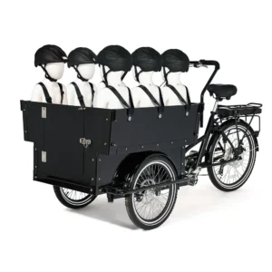 Electric Cargo Tricycle,Heavy Loading Bike with Hydraulic Disc Brake,School Transport for 6 Kids,3Wheel Utility Cycle for Family