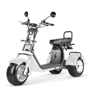 Clark is hot selling 2000w 4000wDual Motors and Dual Controllers Citycoco Electric Tricycles 3 Wheel E Scooter