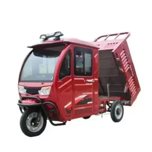 New Fully Enclosed Belt After Bucket Household Agricultural Goods Moving Transport Delivery Express Electric Tricycle