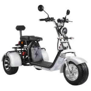 EHoodax Motocicleta Electrica 1500w3000w High Power 45km/h Fast Long Range Adult Tricycle 3 Wheel Electric Bike