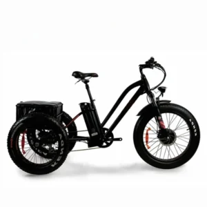 Fat Tire Snow Tricycle Electric Cargo Factory Wholesale Electric Bicycle 750w 500w 48v Adult Ebike Electric Bike 3 Wheels