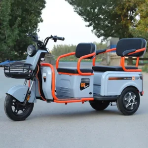 Electric Tricycle with 600W Rear Hub Motor Aluminum Frame Lead-Acid Battery Power Supply 3-Wheel Design