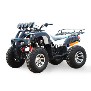 Adult Four Wheel Off-Road Beach Motorcycle Double Universal Shaft Drive Double Beach Sports Car