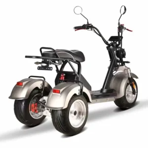 Clark is hot selling Citycoco E-Scooter with Triple Wheels Dual Battery Power Advanced Digital Features 3 Wheels Tricycles