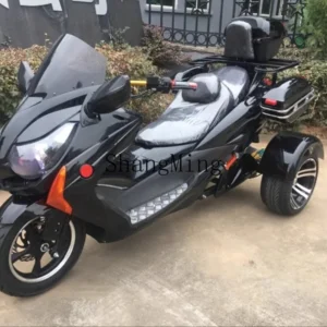 Tricycle Adult Electric Motorcycle All Terrain Battery Car Pedal