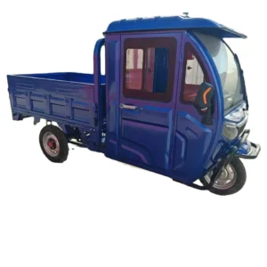 China Three Wheels Cargo Tricycle Electric 1200w/1500w Motor Power Enclosed Electric Tricycle