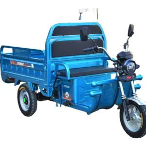 Cheap E-trikes 3 Wheel Tricycle Cargo Truck Durable 300cc Cargo Tricycle Strong Electric Cargo Tricycle for Adult
