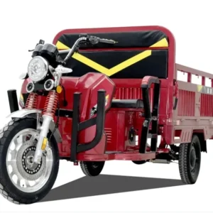 Hot Selling Three Wheel E-bike Adult Tricycle Motorcycle Truck 1500w 72v Heavy Load Moped Cargo Tricycle