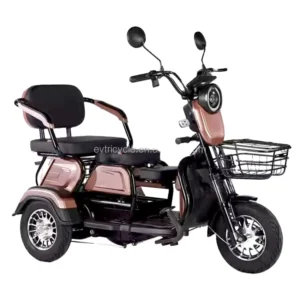 New 1-3 Seater Electric Tricycle Passenger Battery Leisure Tricycle Pure Electric Bike for Elder and Disable