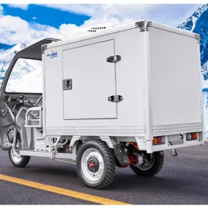 All in One Cooler Tricycle Electric Bike Ice Cream Delivery Refrigerated Cargo Tricycle for Frozen Food Transport
